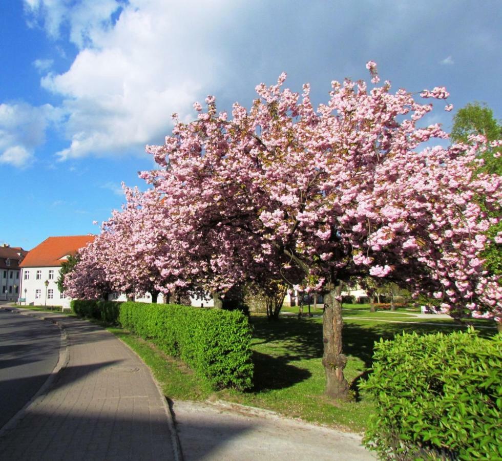 Kastanienhof Luebben Daire Dış mekan fotoğraf