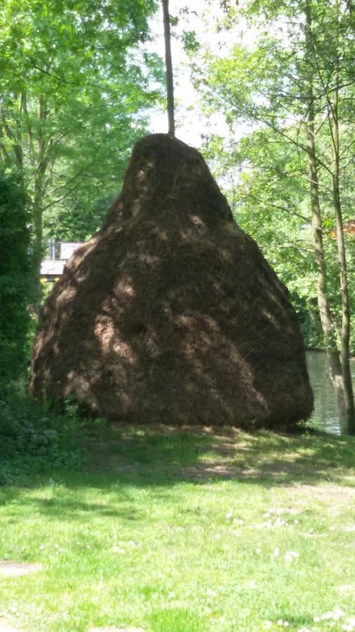 Kastanienhof Luebben Daire Dış mekan fotoğraf